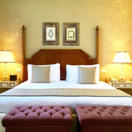 酒店 San Clemente Palace 5*